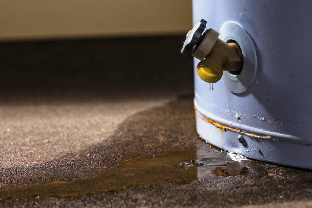 Best Flood damage cleanup  in Greentree, NJ