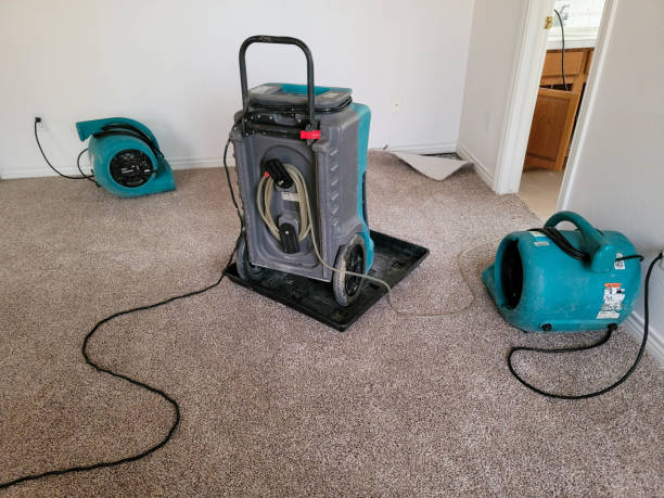 Best Carpet water damage restoration  in Greentree, NJ