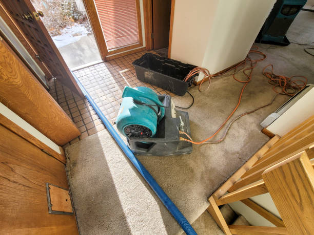 Best Residential water damage restoration  in Greentree, NJ
