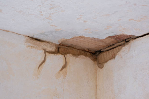 Water damage restoration experts in Greentree, NJ