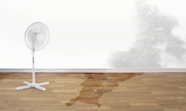 Best Water damage restoration experts  in Greentree, NJ