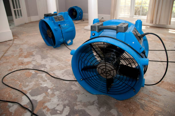  Greentree, NJ Water damage restoration Pros