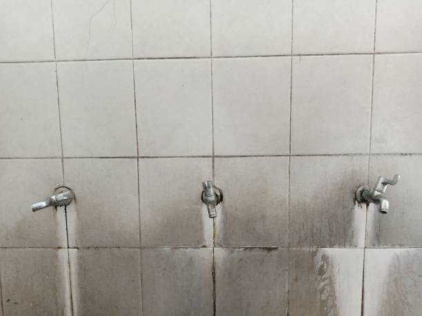 Best 24/7 water damage repair  in Greentree, NJ