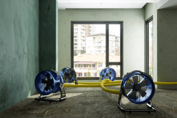 Best Local water damage restoration  in Greentree, NJ