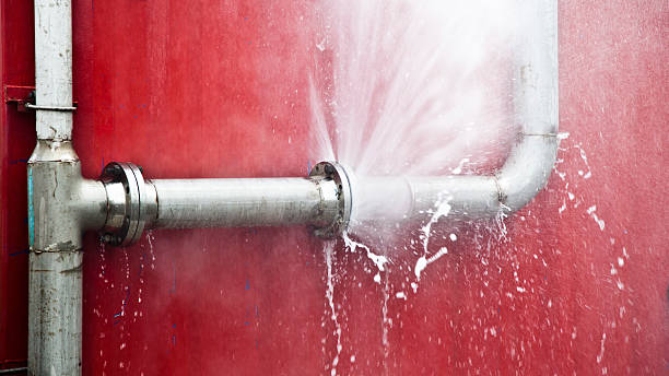 Best 24/7 water damage repair  in Greentree, NJ